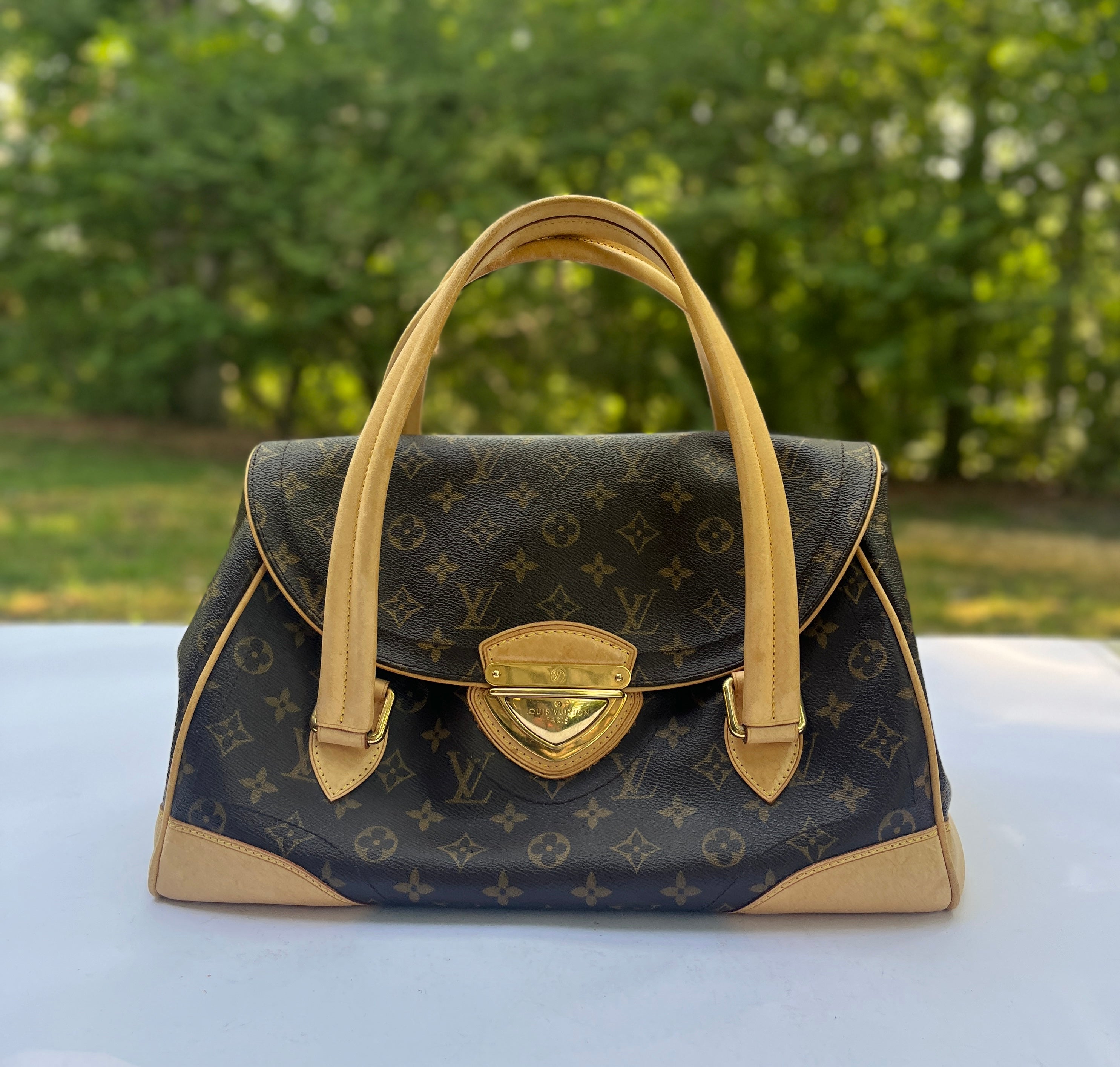 Best Authentic Louis Vuitton Neverfull Mm. Layaway & Authentication. for  sale in McDonough, Georgia for 2023