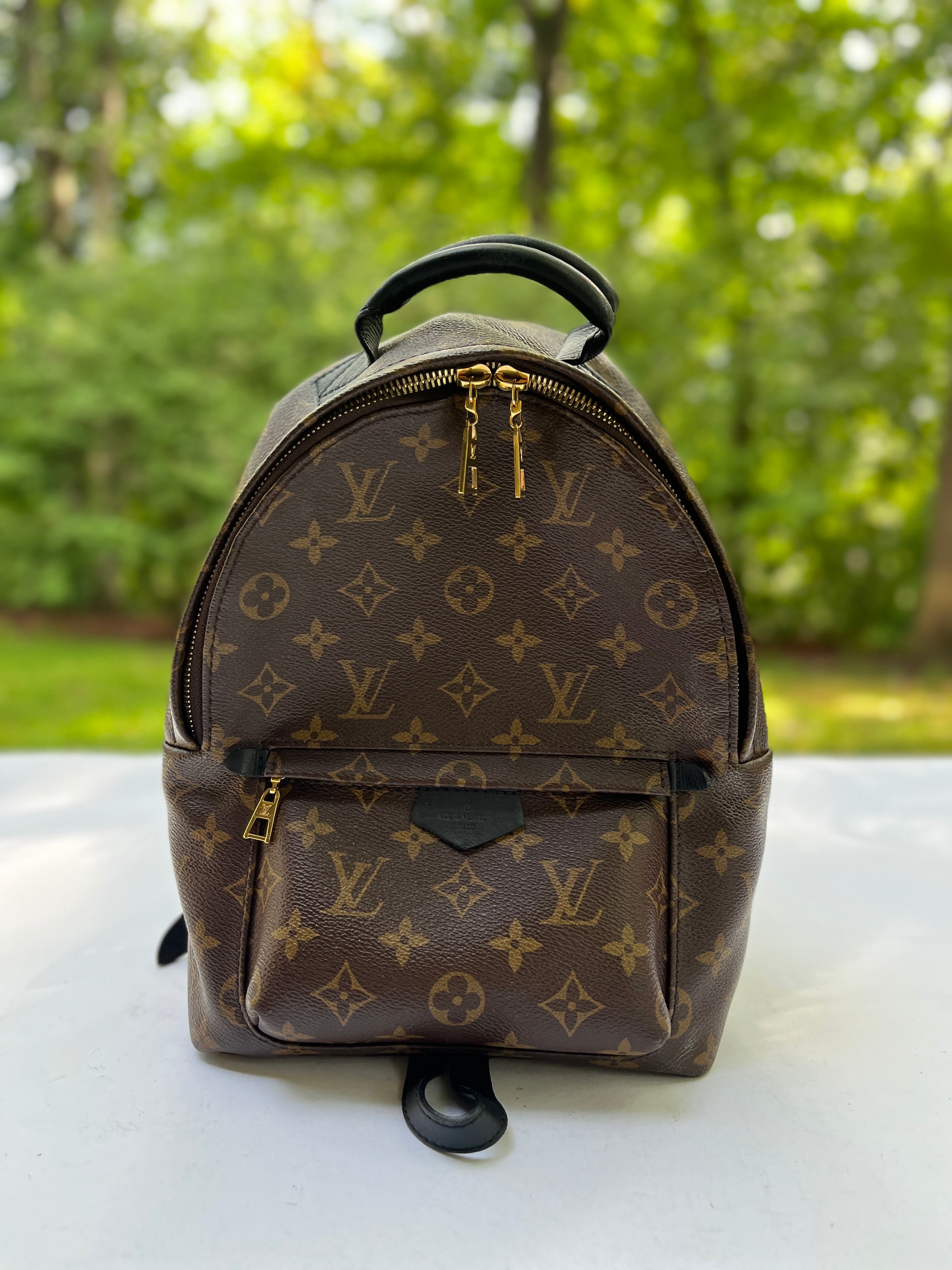 Louis Vuitton Monogram Palm Springs Backpack PM – Chicago Consignment