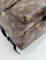 Louis Vuitton Monogram Palm Springs Backpack PM