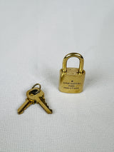 Louis Vuitton Lock and Keys (2) #304