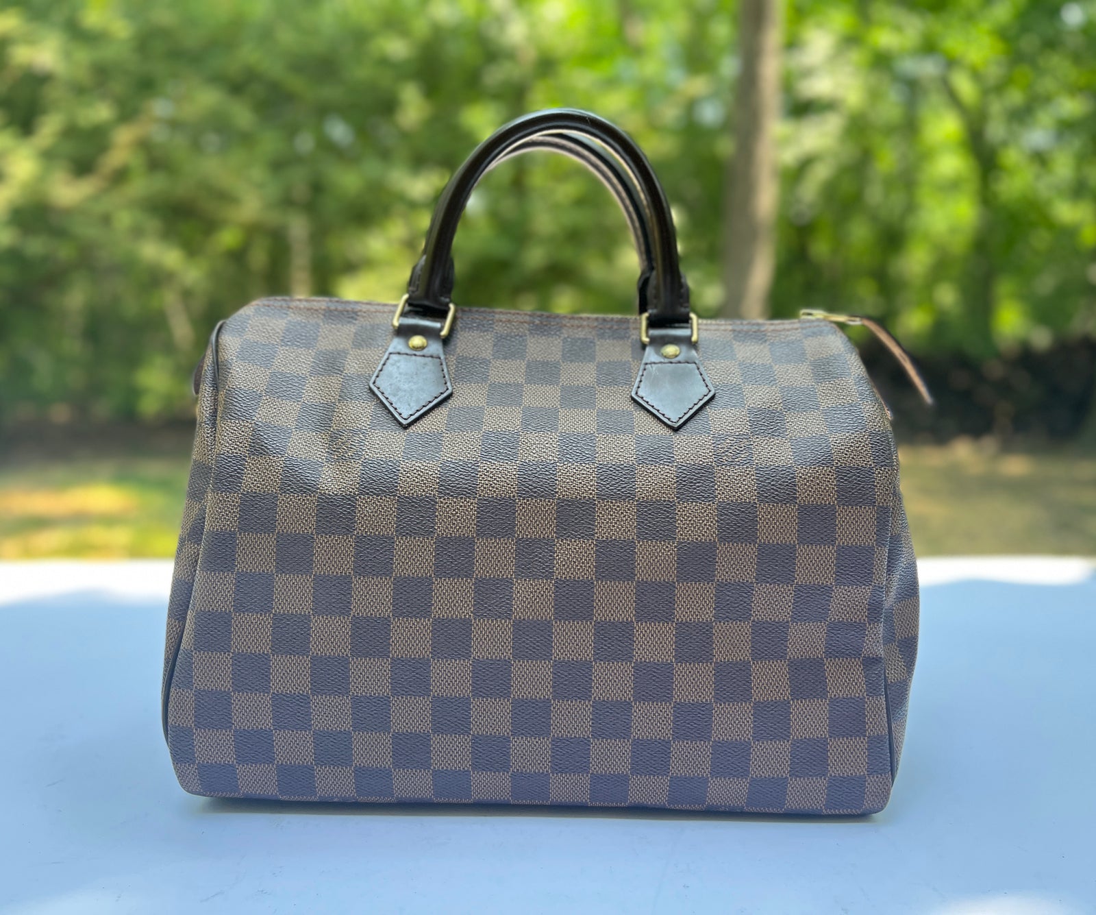 Louis Vuitton Damier Ebene Canvas Speedy 30 Bag Brown