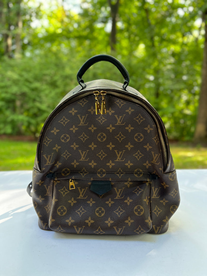 Palm springs leather backpack Louis Vuitton Brown in Leather