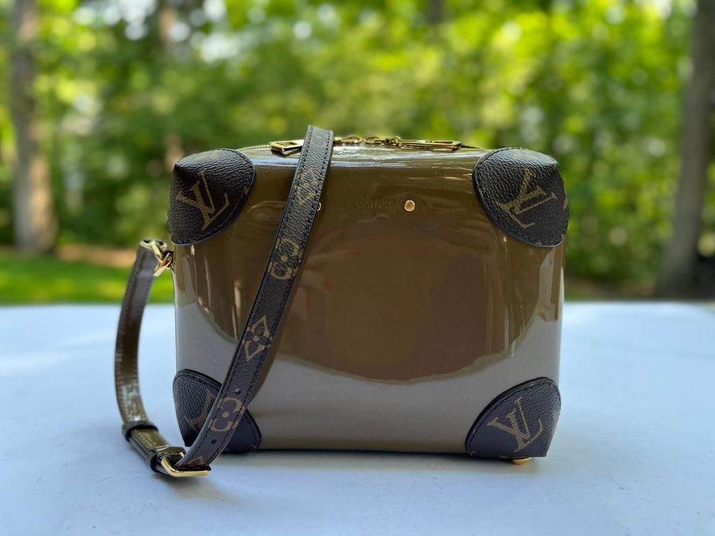 Louis Vuitton Venice Shoulder bag 359830