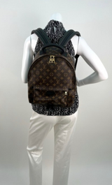 Louis Vuitton Monogram Palm Springs Backpack MM