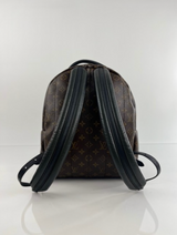 Louis Vuitton Monogram Palm Springs Backpack MM