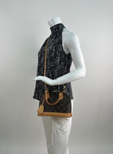 Louis Vuitton Monogram Alma BB