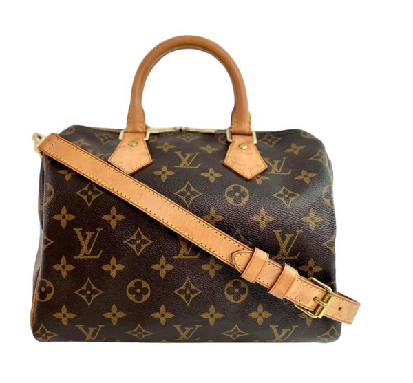 Urban Renewal Consignment - Louis Vuitton Chelsea bag. $975.99